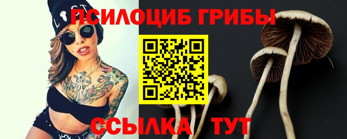 Урус-Мартан  Псилоцибиновые грибы ЛСД  Вход с VPN 